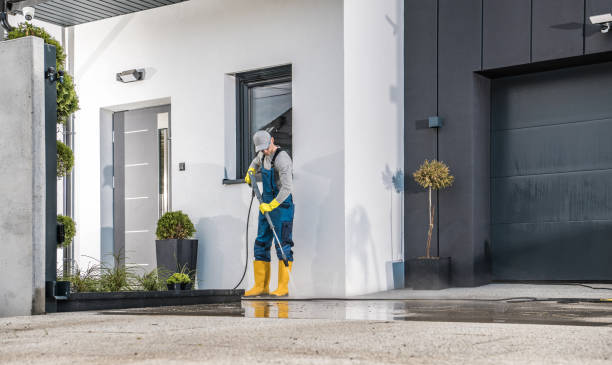 Best Dumpster Area Cleaning  in Norwood Young America, MN